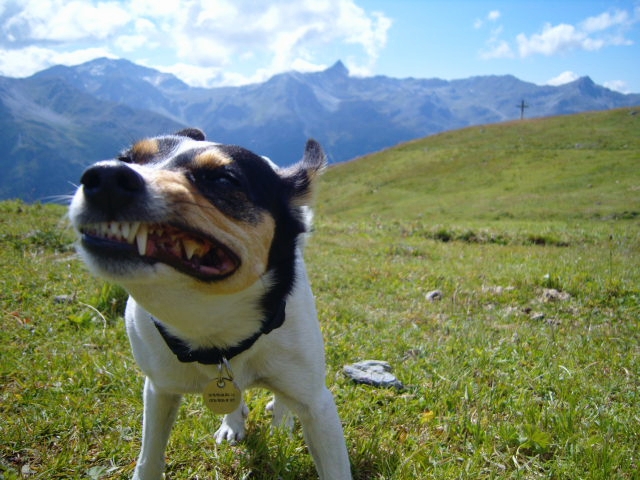 Zinal_Aug09_62.jpg