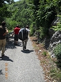 come_79