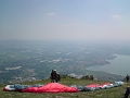 come_81