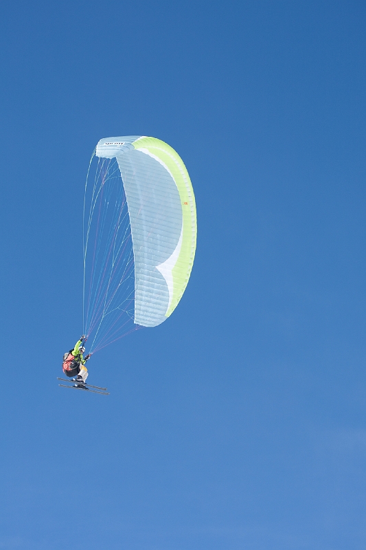 mauler2010_41.jpg