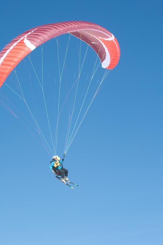 mauler2010_66.jpg