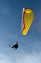 mauler2010_208
