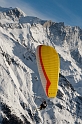 mauler2010_211