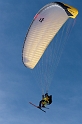 mauler2010_220