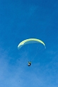 mauler2010_231