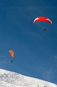 mauler2010_277