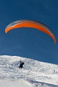 mauler2010_280