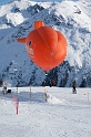 mauler2010_6