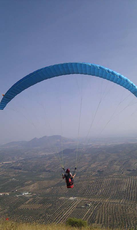 IMAG1703.jpg
