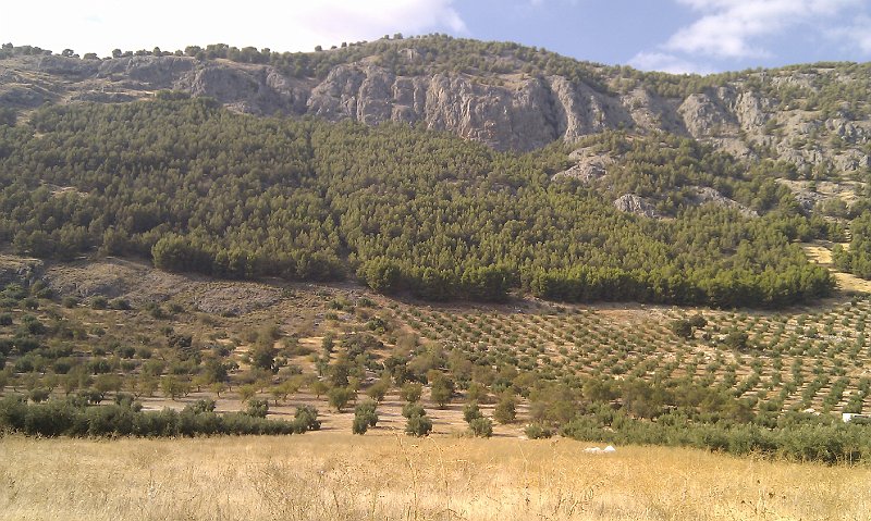 IMAG1708.jpg