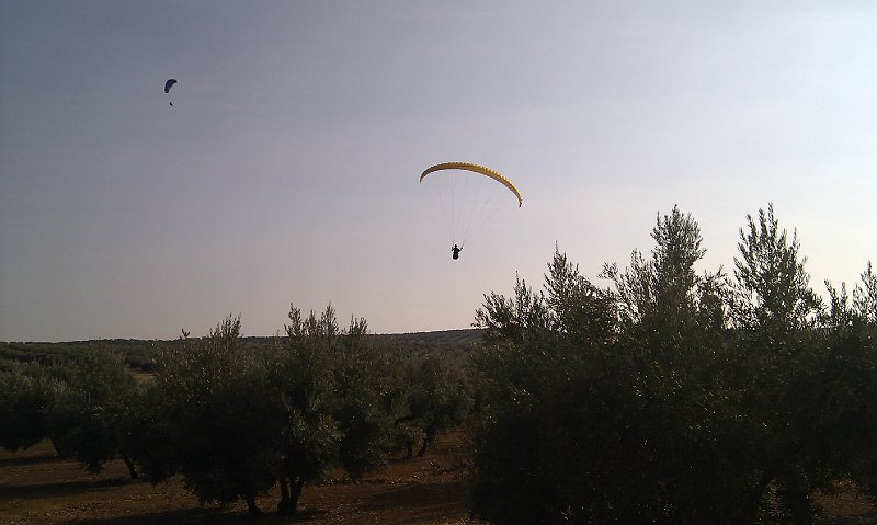 IMAG1712.jpg