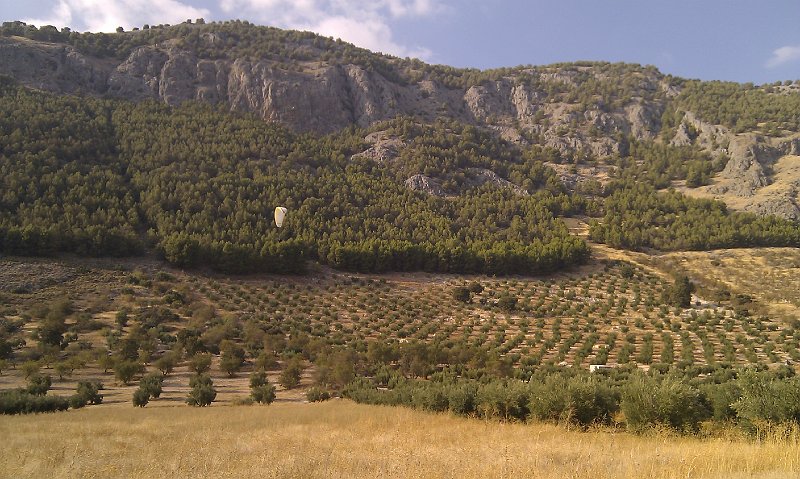 IMAG1717.jpg