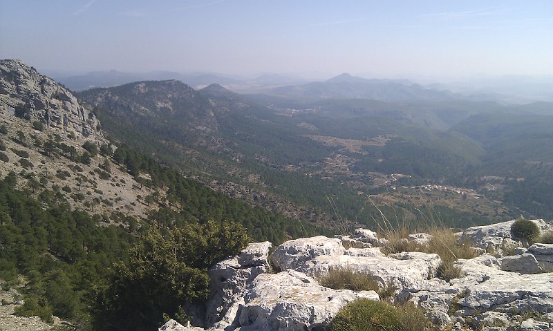 IMAG1811.jpg