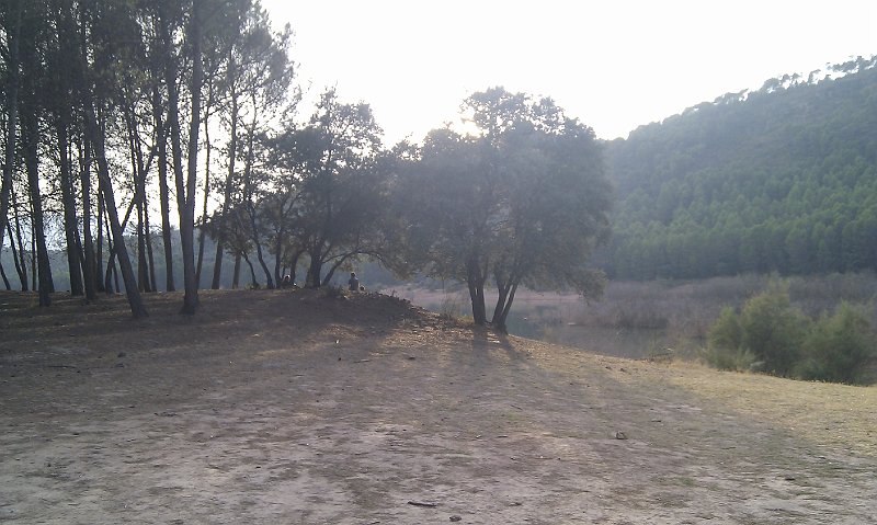 IMAG1818.jpg