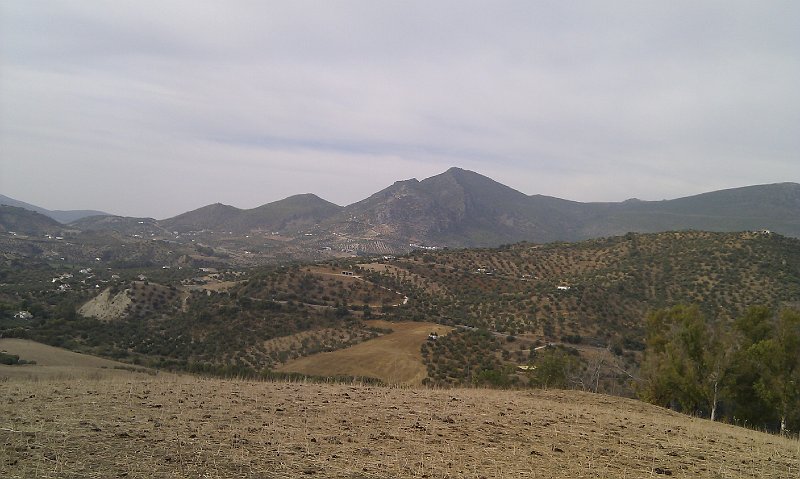 IMAG2095.jpg