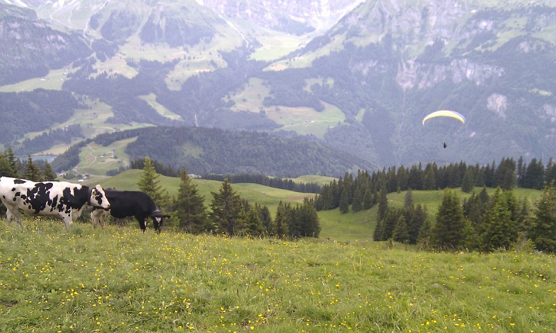 engelberg_bruni_samedi_13.jpg