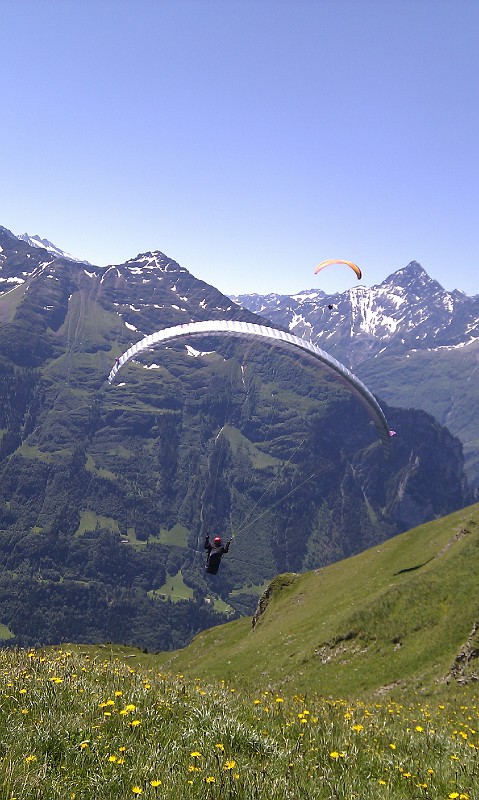 meiringen_14.jpg