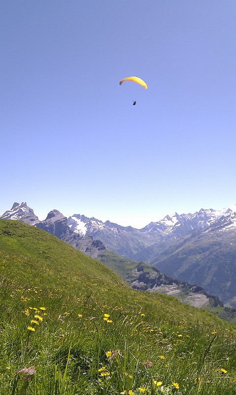 meiringen_21.jpg