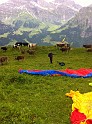 engelberg_bruni_samedi_7